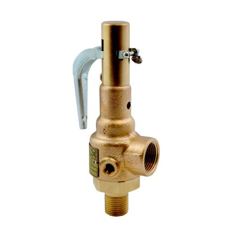Mr. Steam 99297V Valve, Safety, 15 PSIG, 1", CU2500/C2500-CU3000/C3000